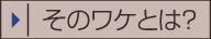 そのワケとは？